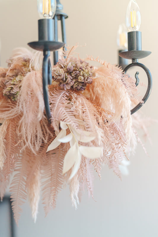 山シダ、ルスカス/【中型】6畳~11畳