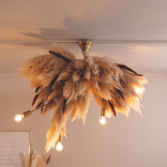 パンパス、テールリード/【大型】12畳~