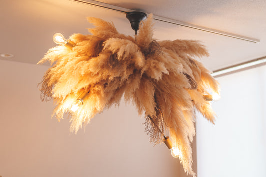 パンパス、ススキ/【大型】12畳~