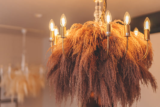 パンパス/【大型】12畳~