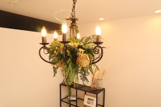 ブルーアイス、アジサイ、テトラブロナ/【中型】6畳~11畳